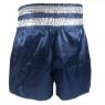 Lumpinee Muay Thai Shorts : LUM-038-Navy